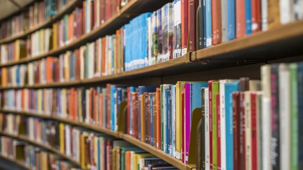 Подмосковные библиотеки выдали 31 млн книг в 2022 году